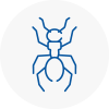 Ant Removals In Kenton