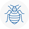 Bed Bug Extermination In Kenton