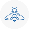 Bee Nest Removal Kenton
