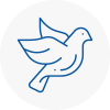 Bird Prevention Kenton