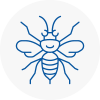 Kenton Hornet Nest Removals