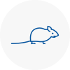 Mice Exterminators In Kenton