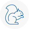 Kenton Rodent Removals