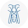 Kenton Wasp Nest Removal